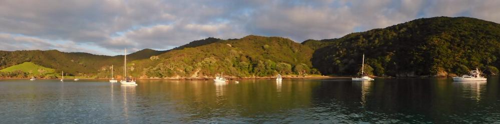Evening light in Whangamumu anchorage near the former whaling station
